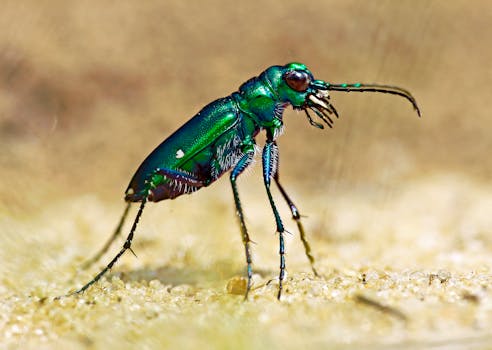 Beyond Bug Fixing: Unveiling the Broad Impact of Quality Assurance